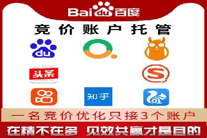 探索SEM代运营公司的经典案例与策略